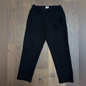 Aritzia Dress Pants